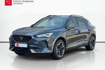 Kamera Cofania| Virtual Cockpit| Martwe pole