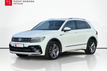 Salon PL| R-line| 230km| 4motion| Panorama| Kamera|Model 2019